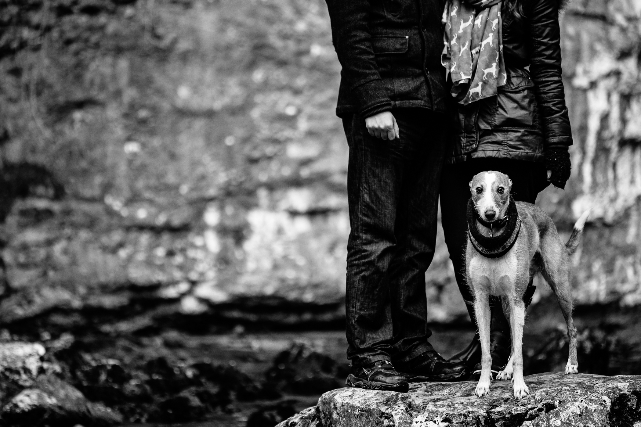 sansom wedding photography malham cove-18