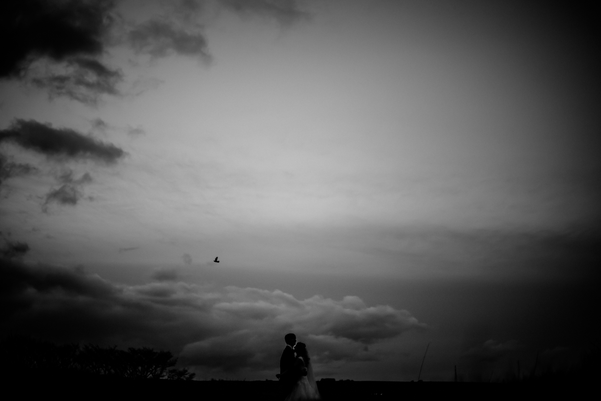 sansom photography crow hill fran and ian-50